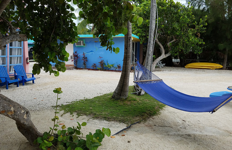 Hammock at La Jolla Resort Hotel.