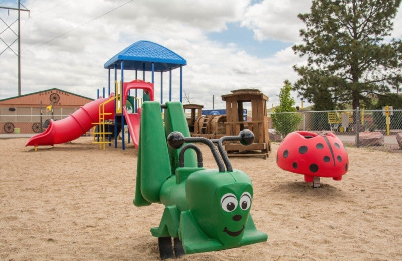 Playground at Colorado Springs KOA.