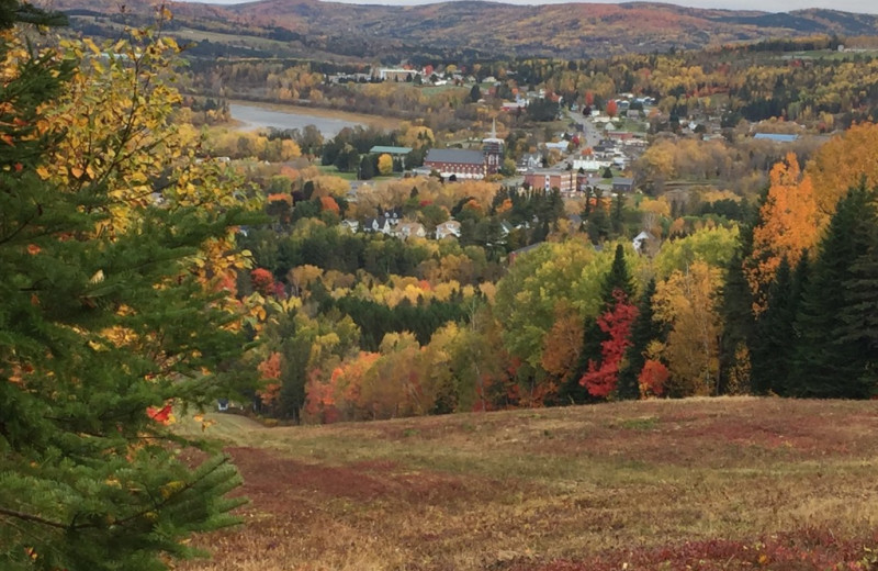 Fall leaves at Northern Door Inn.