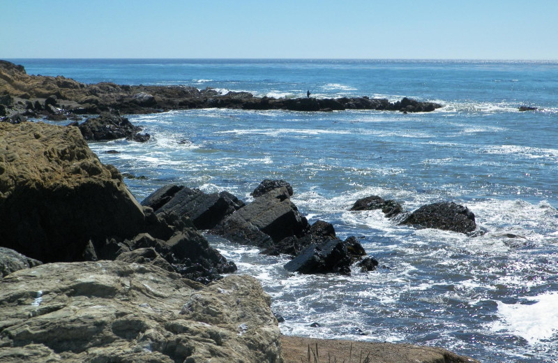 California shoreline near Cambria Pines Lodge.