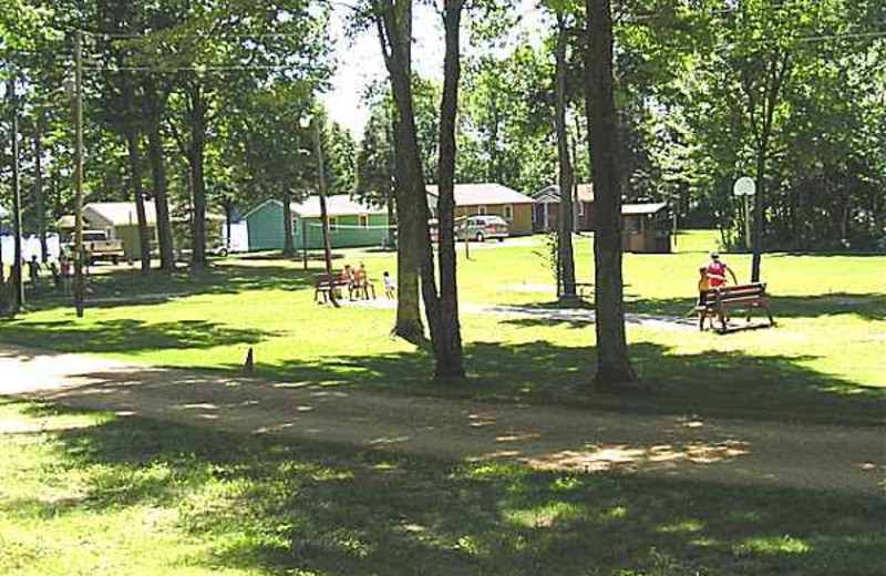 Park Area at Kafka's Resort