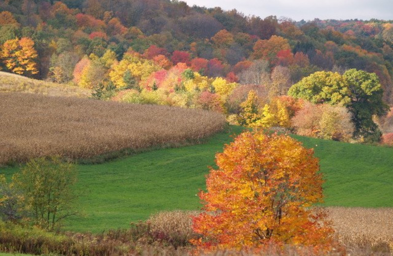 View from Glades Pike Inn.