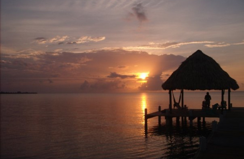 Sunset at Green Parrot Beach Houses and Restaurant.