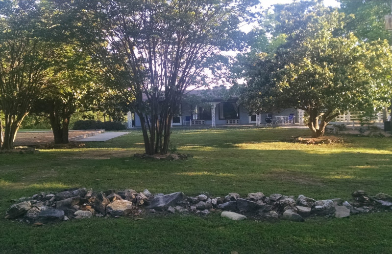 Exterior view of Blue Lady Resort.