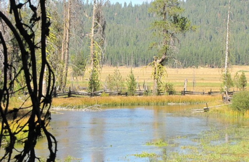 Scenic view at St. Bernard Lodge.