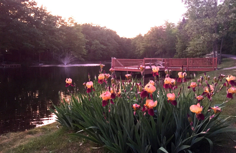 Lake view at Lakeside Cabins Resort.