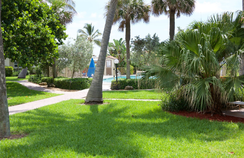 Pool at Royal Flamingo Villas.