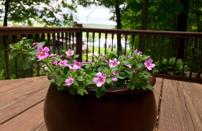 Deck at Sojourner's Lodge & Log Cabin Suites.