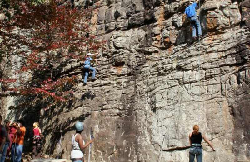 Rock Climbing at Horseshoe Canyon Ranch