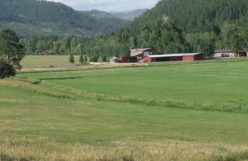 Scenic View at Vallecito Resort