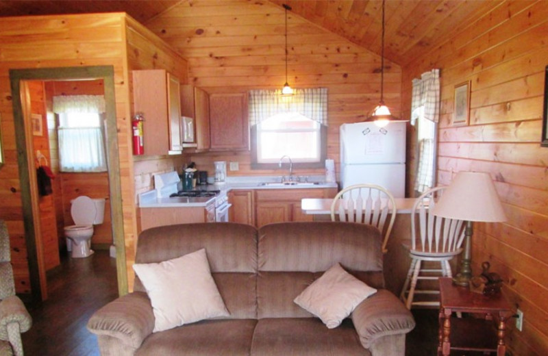 Cabin interior at Jackson's Lodge and Log Cabins.