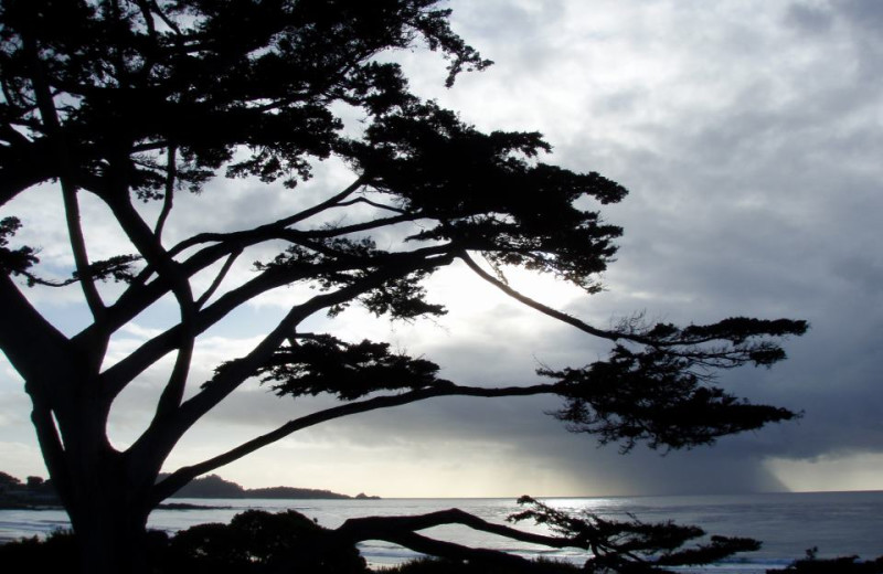 Beach view near Carmel Lodge.