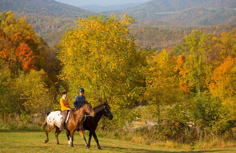 Horseback riding at House Mountain Inn.