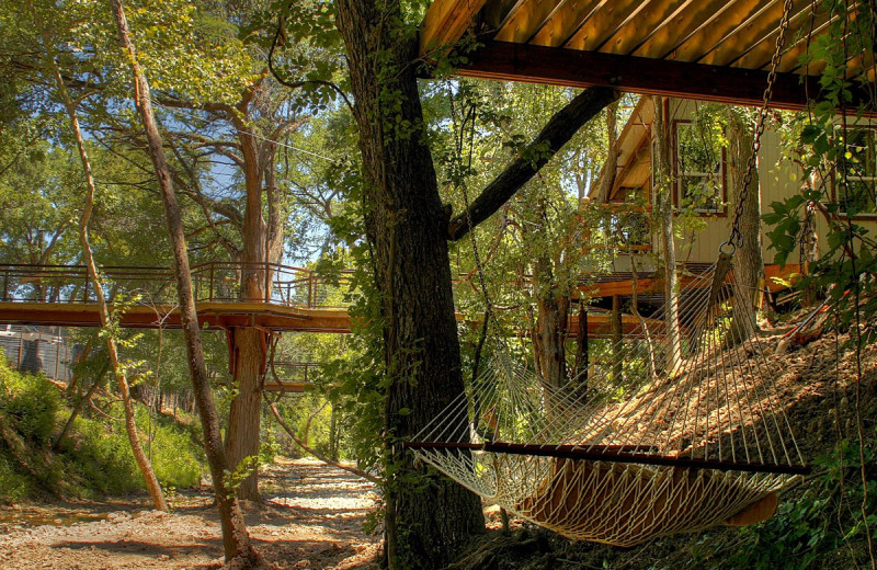 Hammock at River Road Treehouses.