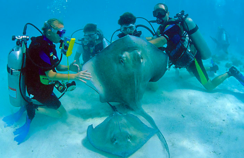 Diving at Cobalt Coast Resort.