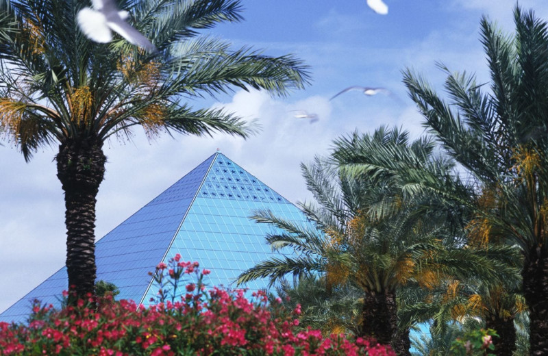 Rainforest pyramid at Moody Gardens Hotel Spa & Convention Center.