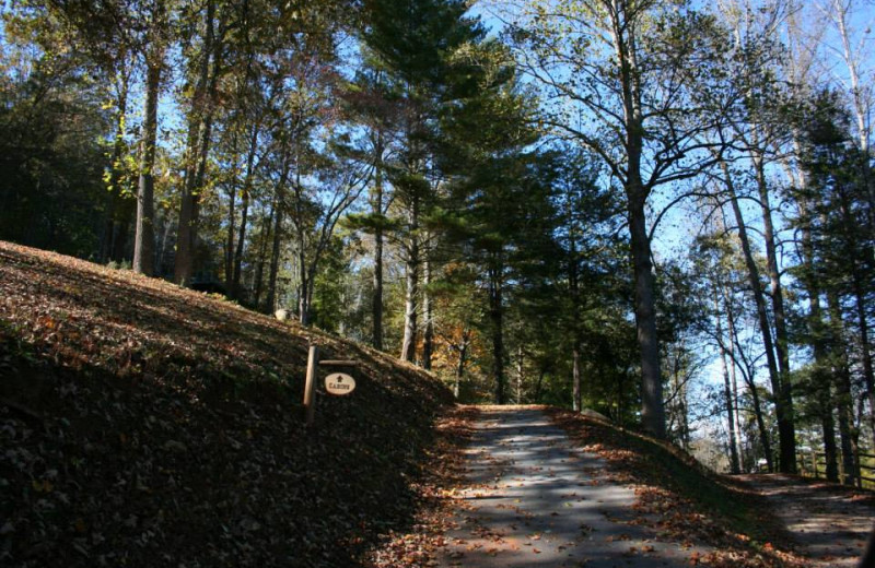 Path to cabins at Big Bear Log Cabins.