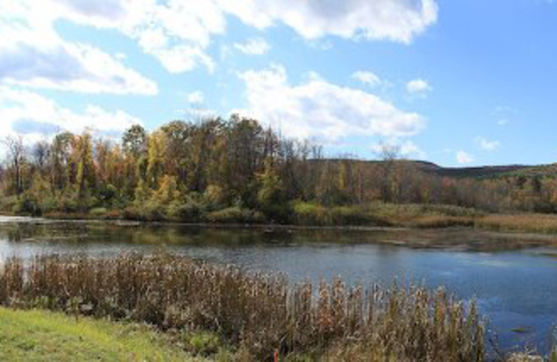 Beautiful Pond View at Yankee Inn