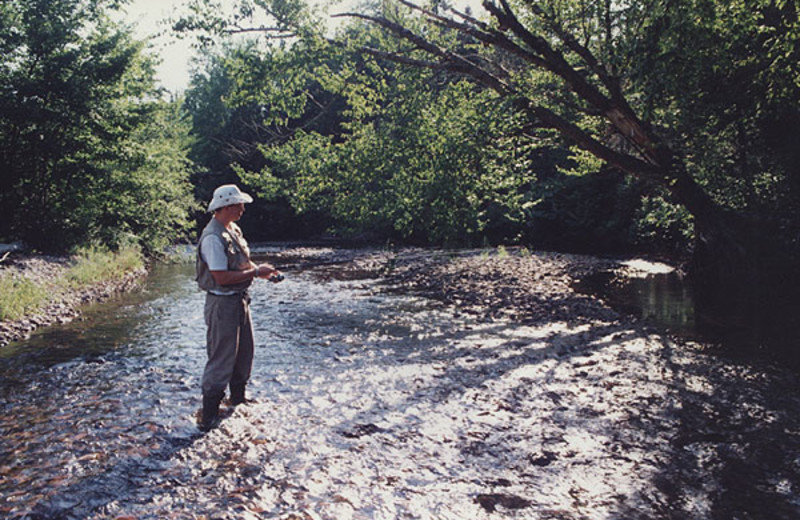 Fishing at Carpenter Lake Cabins