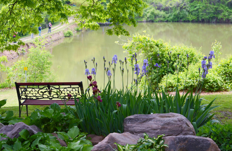 Relax by the bench at Basswood Country Resort.