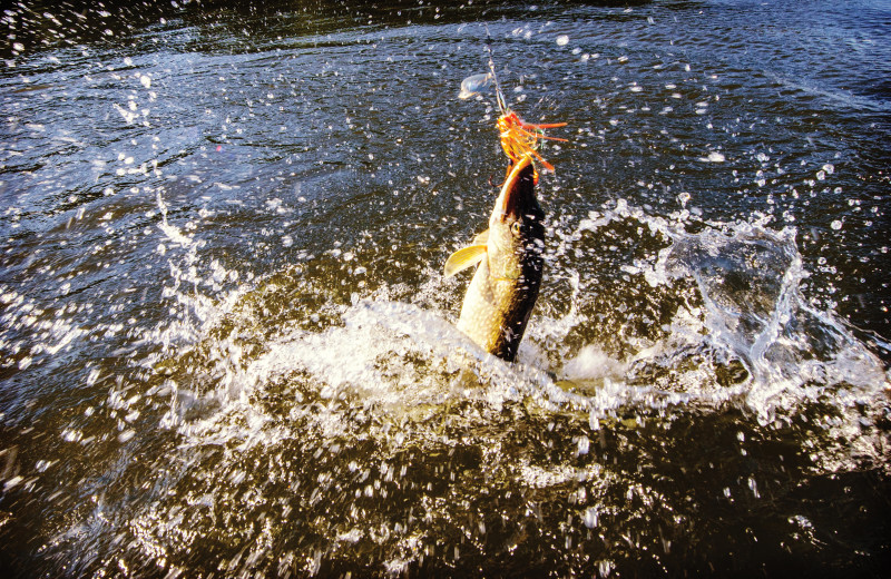 Fishing at Tetu Island Lodge.