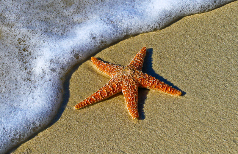 You're never far from the beach at The Gardens Hotel