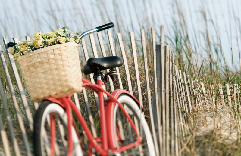 Biking on the beach at Dune Real Estate Company.