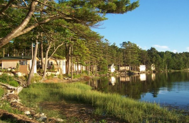 Shoreline at Sheepscot Harbour Village 