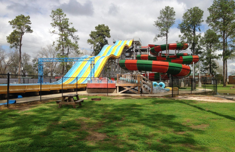 Waterpark at Lone Star Jellystone.