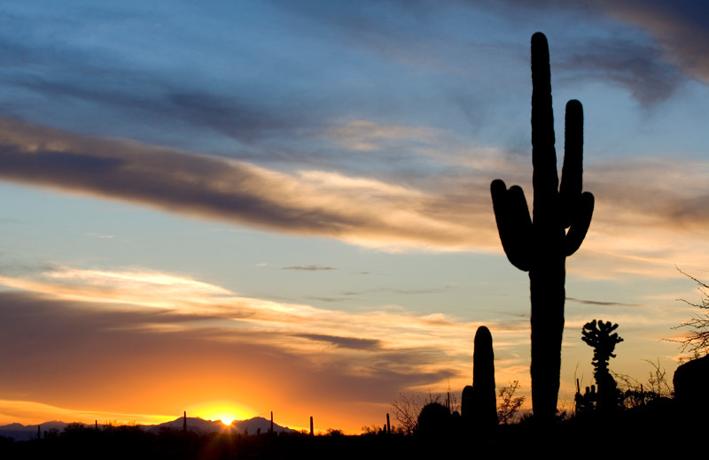 Dessert sunset at Latitude 8 Vacation Rentals.