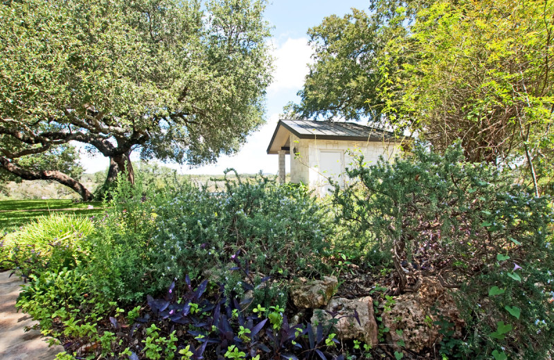 Garden at Paniolo Ranch.