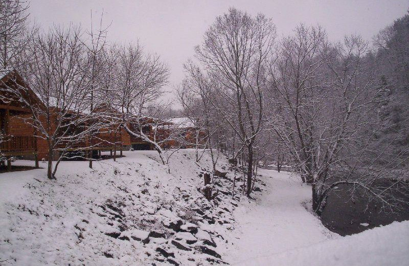 Exterior view of cabins and river at New River Trail Cabins.