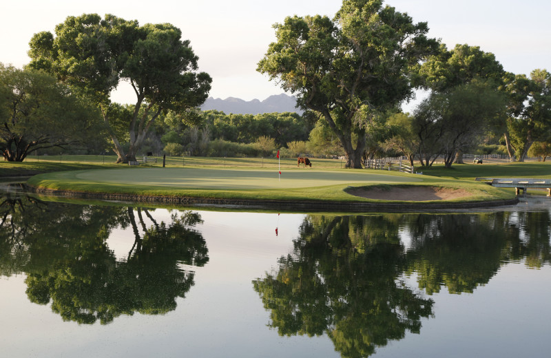 Golf course at Tubac Golf Resort.