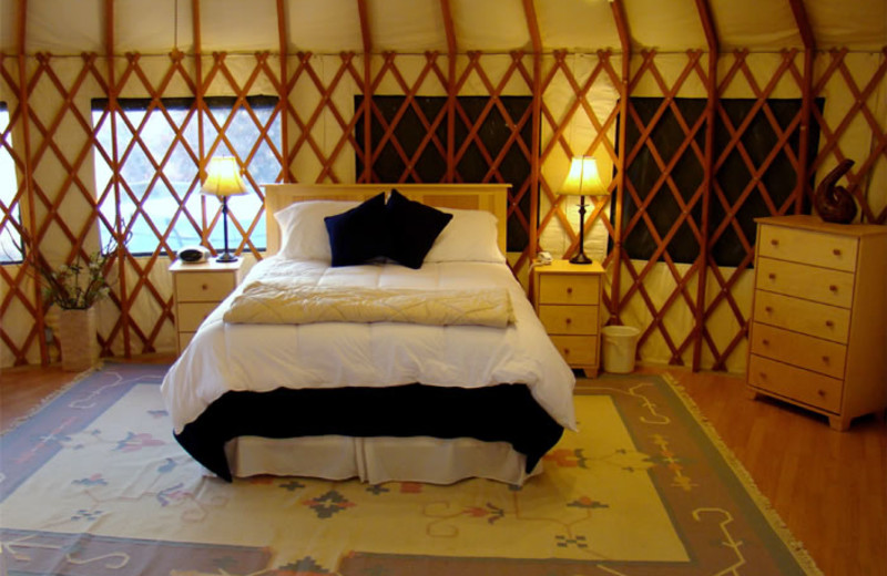 Yurt bed at Stone Wind Retreat.