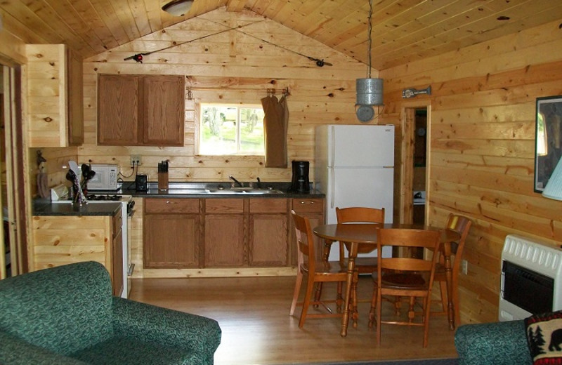 Cabin kitchen at Cedar Point Resort.