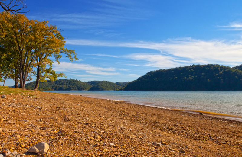 Beach at Cabins at Dale Hollow.