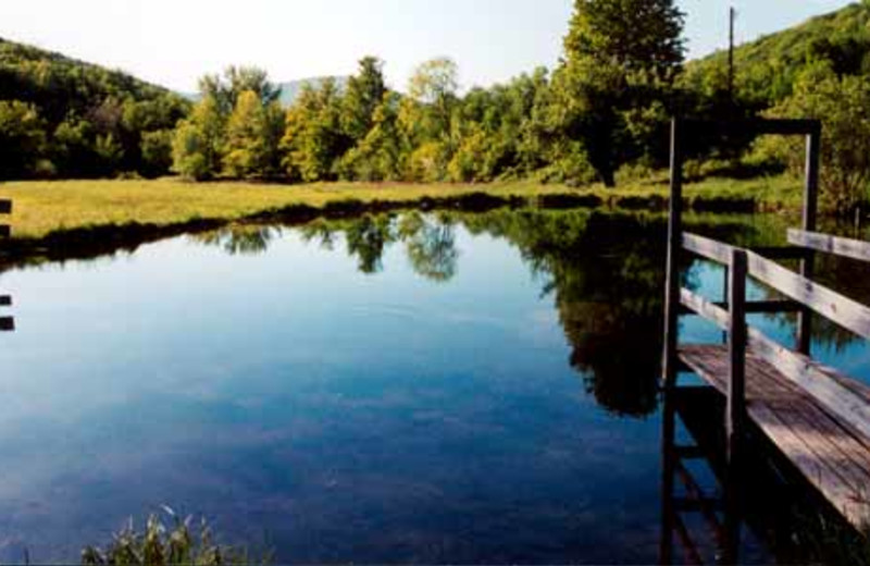 The Grounds at Full Moon Resort
