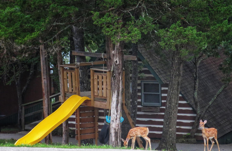 Playground at Calm Waters Resort.