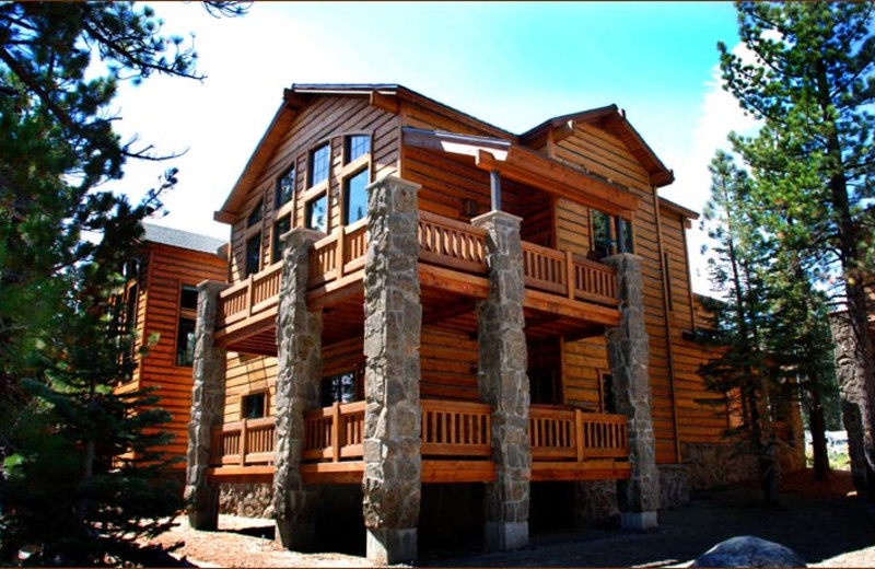 Exterior view of Mammoth Stonegate.