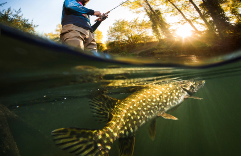 Fishing at Big McDonald Resort.