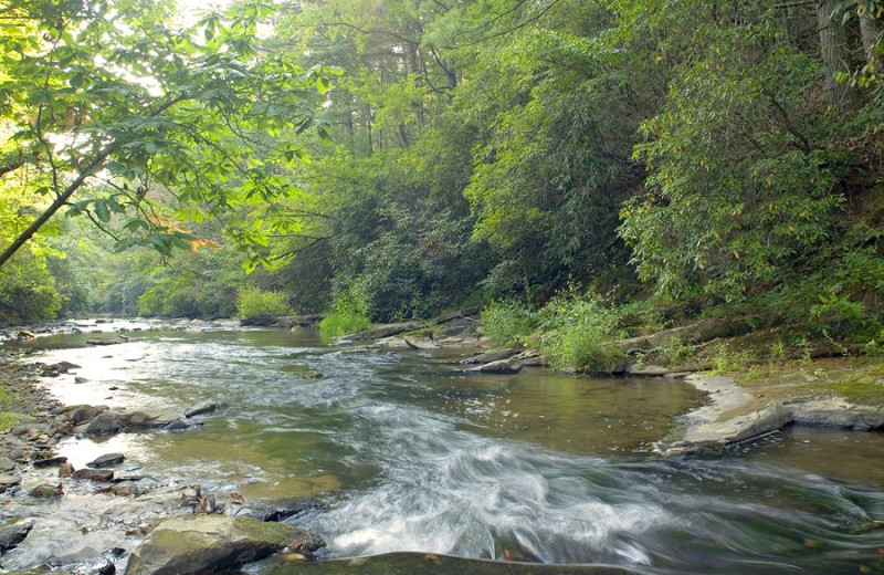 River at Cabin Rentals of Georgia.