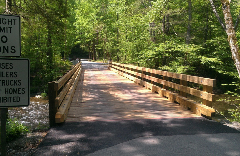 Wooden bridge at Cabin Fever Vacations.