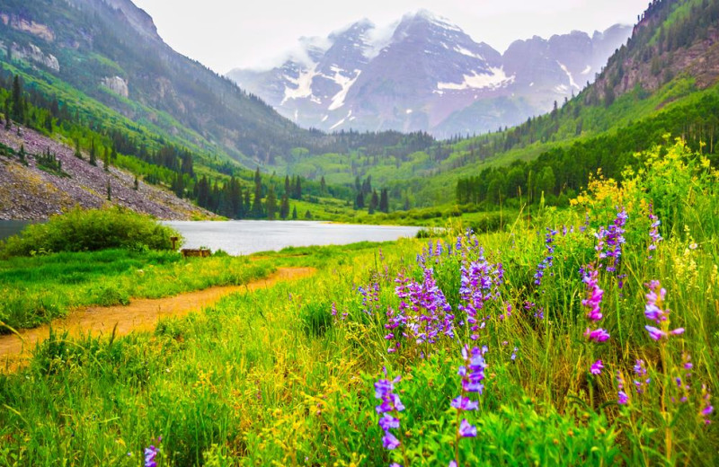 Spring time in the mountains at Aspen Mountain Lodge.