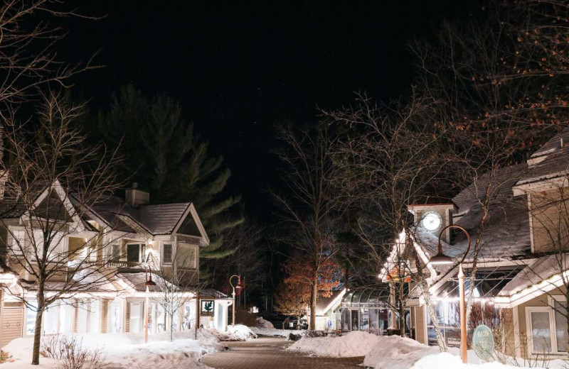 Winter at The Homestead.