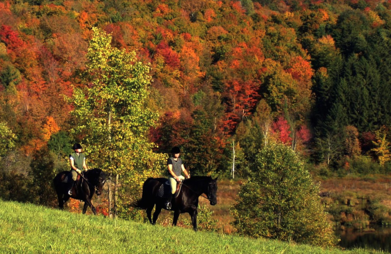 Horseback riding at Stowe Country Homes.