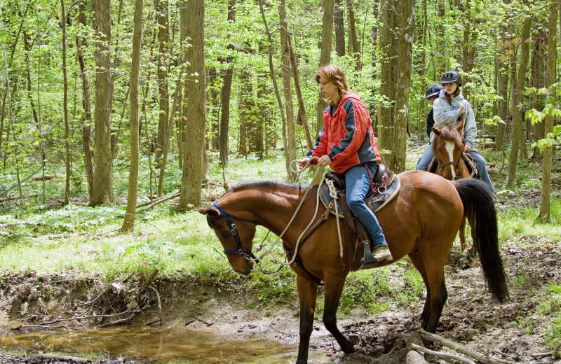 Horseback riding at The Glen Eden Resort.