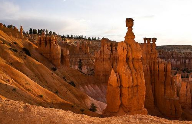 Bryce canyon near Best Western Bryce Canyon Grand Hotel.