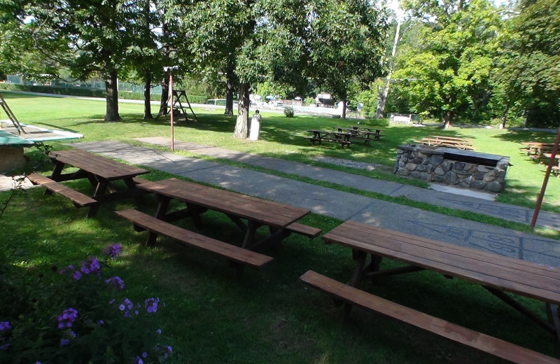 Picnic tables at Crystal Brook Resort.