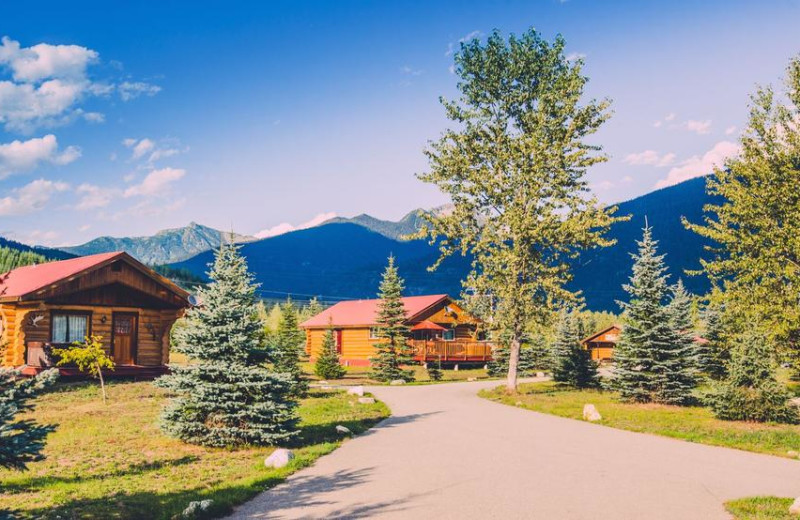 Cabins at Glacier House Resort.