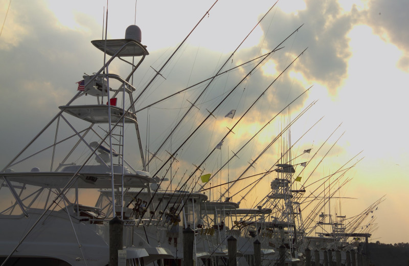 Boats on the Water at Charleston Harbor Resort